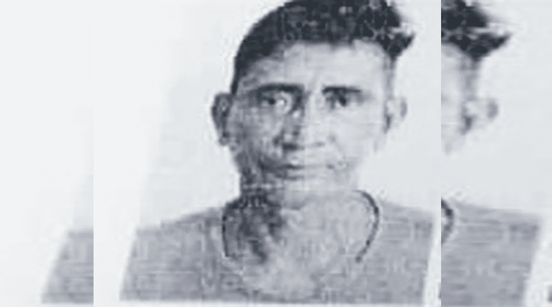 Novo Projeto (1) (1)