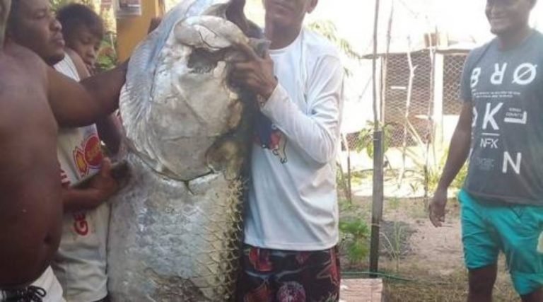 Pescador captura peixe de mais de 100 quilos no litoral do RN: ‘Foi luta pra tirar da água’