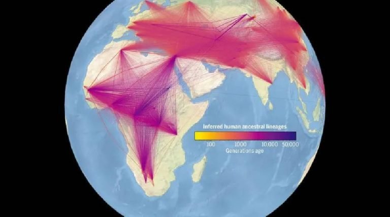 27 milhões de ancestrais e 100 mil anos: esta é maior árvore genealógica do mundo