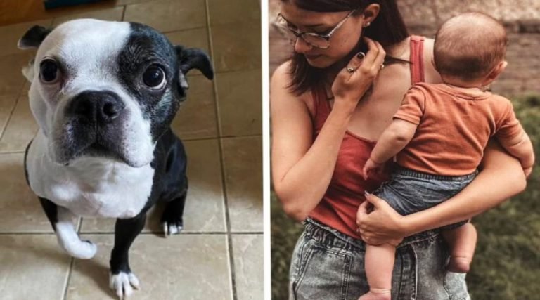 Cachorrinho salva bebê que parou de respirar