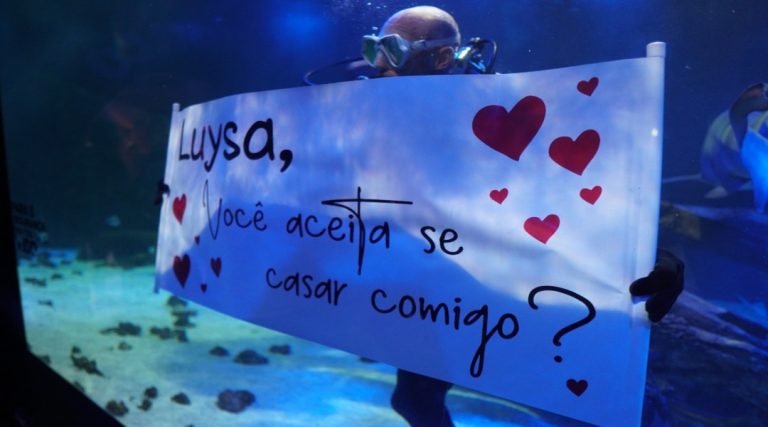Pedido de casamento é feito dentro de aquário de tubarões em Balneário Camboriú