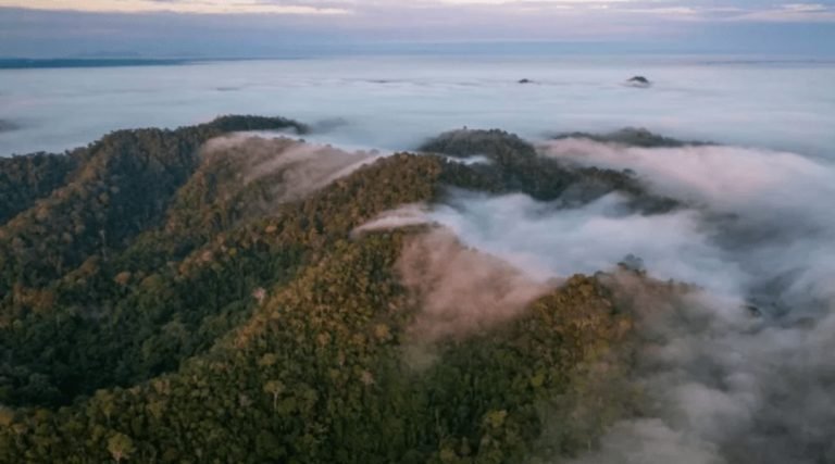 Pesquisa revela aumento na extração e venda e ouro ilegal no país; maior parte sai da Amazônia