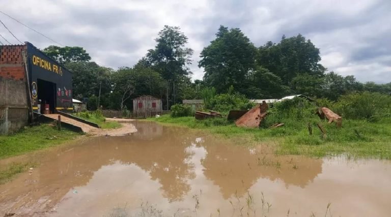 Rio Envira volta a transbordar em Feijó e atinge cerca de 100 moradores