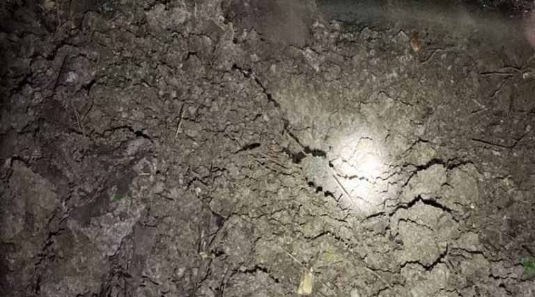 Segundo envolvido na morte de indígena José Ribamar Kaxinawá (32)  é preso em Feijó