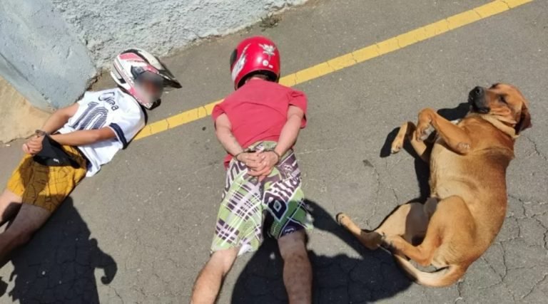 Cachorro ‘se rende’ ao ver abordagem policial: ‘Achou que era brincadeira’