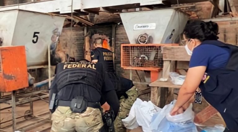 Em Cruzeiro do Sul, Polícia Federal realiza incineração de drogas apreendidas