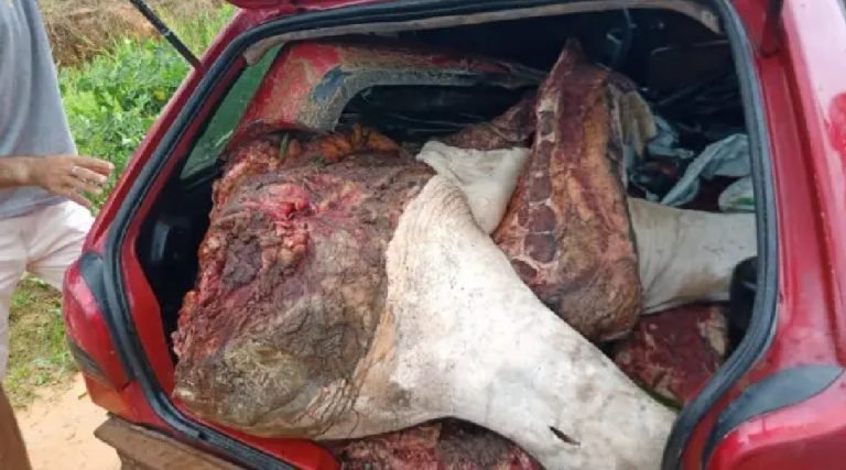 Carro atola com carga de carne roubada e criminosos são presos em Mâncio Lima