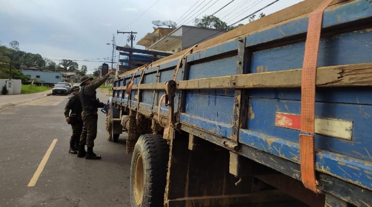 Polícia Militar apreende 8,5m³ de madeira ilegal transportada com DOF frio