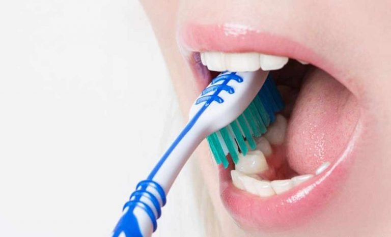 Aleac aprova projeto que visa distribuir escovas de dentes nas escolas do Acre