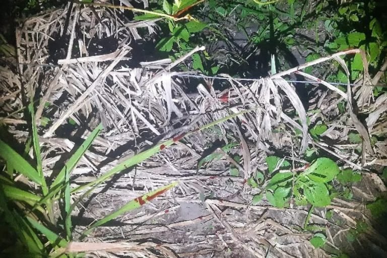 Suspeito de vários crimes é morto a tiros durante perseguição policial em Manoel Urbano￼￼