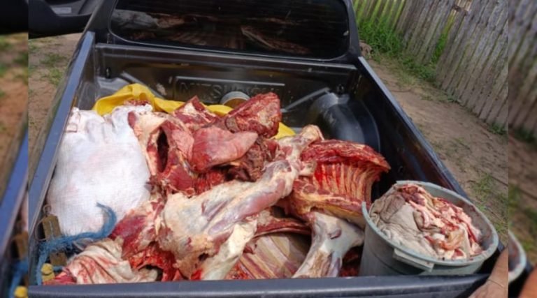 Polícia Civil prende quadrilha por furto de gado em Tarauacá