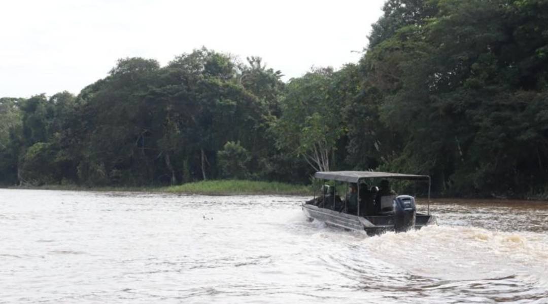 Novo Projeto - 2022-07-08T082918.393