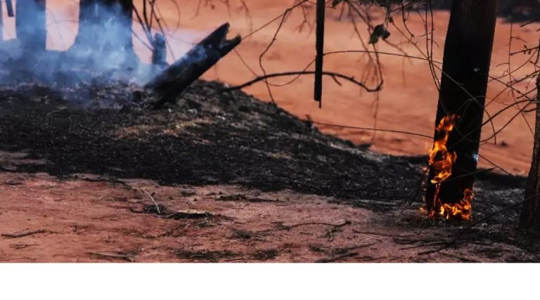 Ministério Público do Acre reativa força-tarefa para o combate às queimadas e aos desmatamentos ilegais