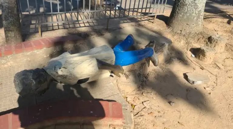 Estátua de Chico Mendes é alvo de vandalismo no AC; “Apagamento da nossa história”, diz neta