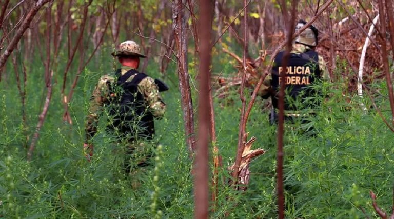 PF prende suspeito de desmatamento em área protegida no Acre