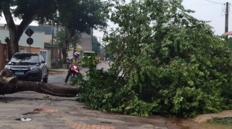 Vídeo; forte vendaval atinge Rio Branco e causa danos a população