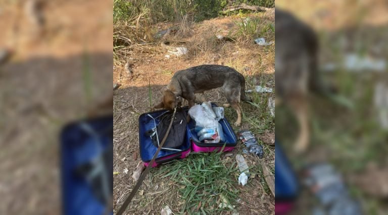 Mais de 40 quilos de droga são apreendidos na BR-364 em ônibus que saiu de Cruzeiro do Sul