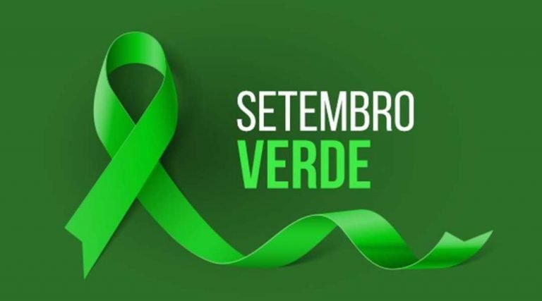 Coluna Ritinha Andrade- Setembro Verde: o que representa?