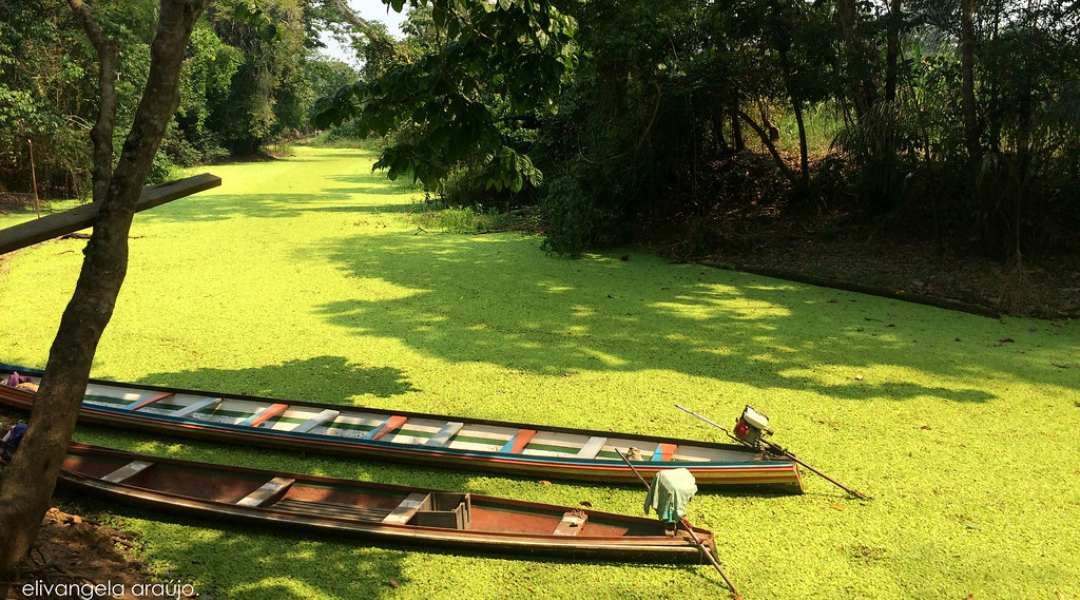 Novo Projeto - 2022-10-28T191525.512