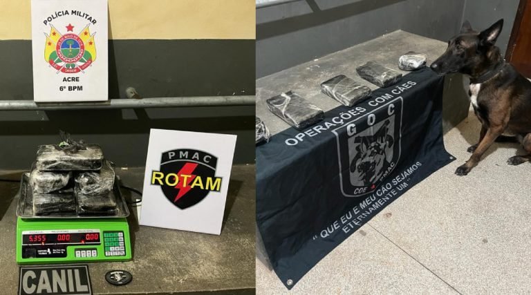 Polícia apreende mais de 5kg de droga em ônibus durante Operação Guardiões da Fronteira