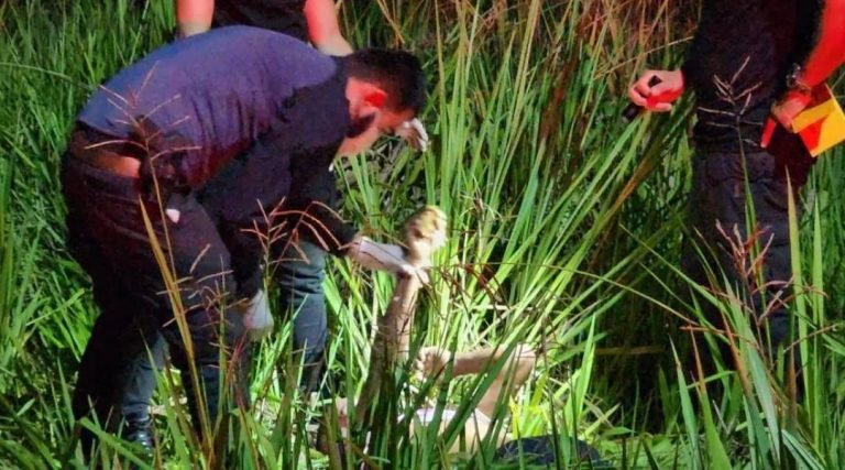 Homem é achado morto a tiros em área de mata em Senador Guiomard