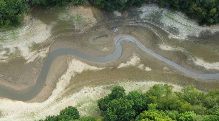 Liderança, mão de obra qualificada e novas tecnologias são peças-chave para combate às mudanças climáticas