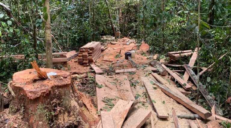 Polícia Militar prende 4 pessoas por crime ambiental