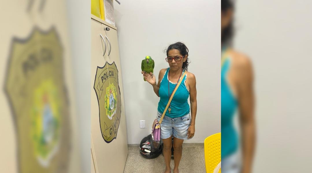 Em Feijó, papagaia de quase 30 anos é furtada e vendida por criança a R$ 50