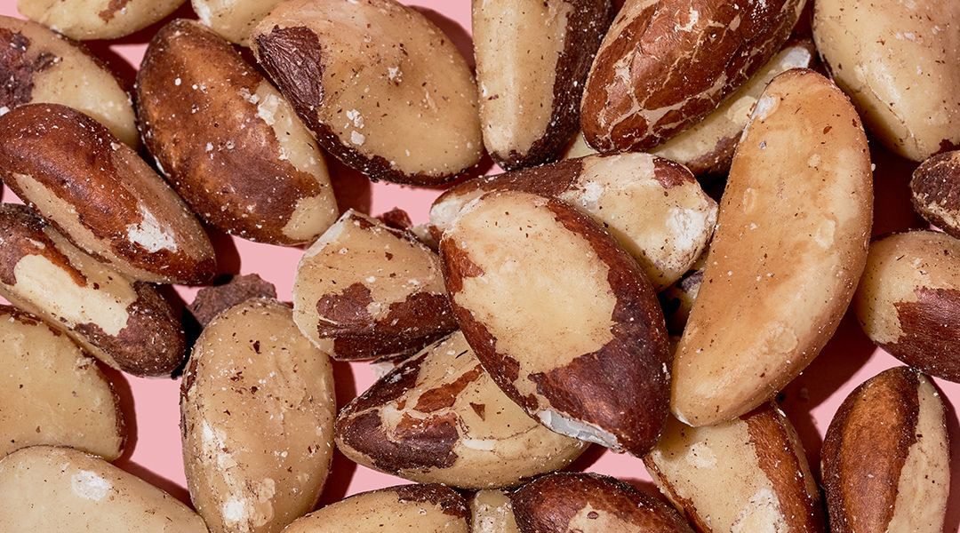 Preço da castanha sobe no Acre e produtores reclamam: “Enfrentamos dificuldades”