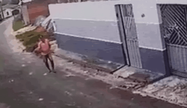 Idoso é acusado de envenenar cachorro de vizinha em Cruzeiro do Sul