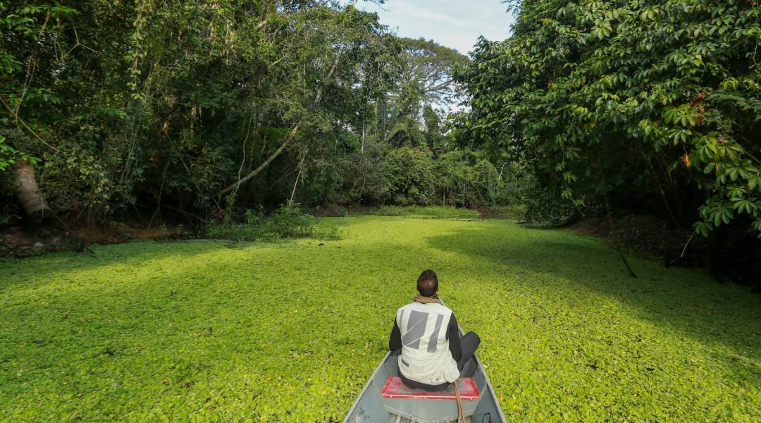 Homem tem casa roubada por seu vizinho no Rio Crôa