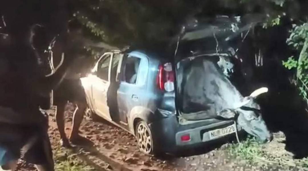 VÍDEO: Boi roubado é resgatado de porta-mala de Fiat Uno