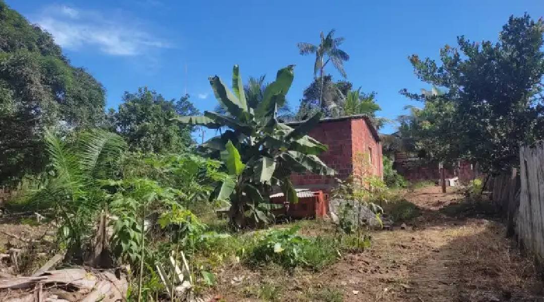Corpo de jovem é encontrado em estado de decomposição em Sena Madureira
