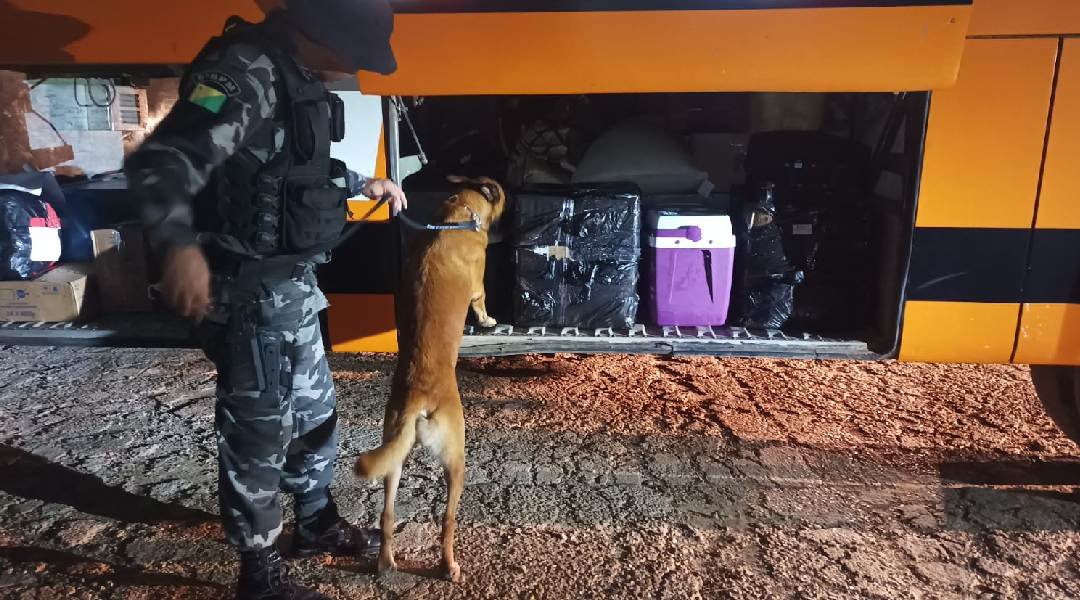 Forças de segurança apreendem quase 20 kg de droga em ônibus intermunicipal na BR-364