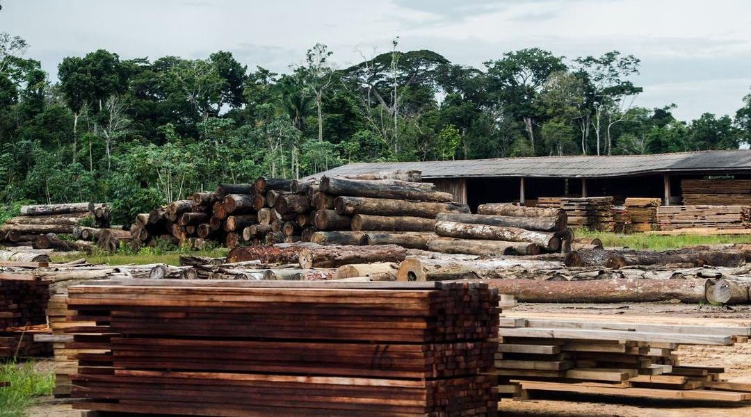 Ibama determina bloqueio e suspende atividades de madeireiras no Acre