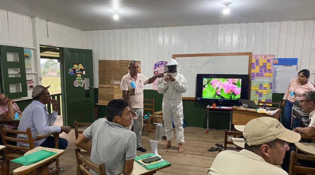 Governo estimula apicultura com capacitação em boas práticas para o segmento produtivo