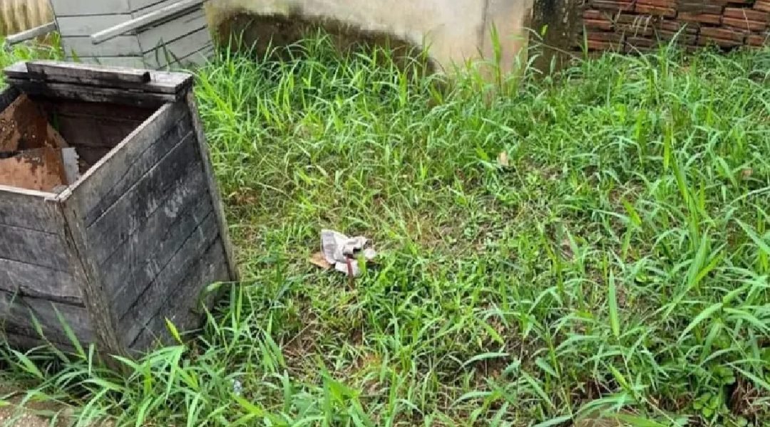 Polícia confirma inocência de adolescente apreendida por abandono de bebê de 5 meses