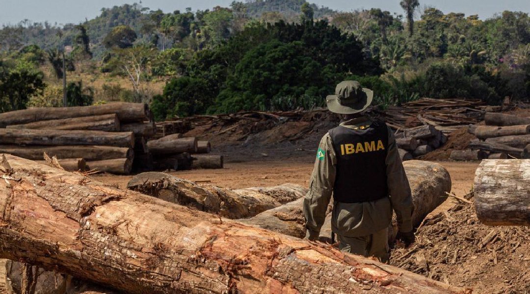 Sete madeireiras no Acre já tiveram pátios desbloqueados após vistoria do Ibama