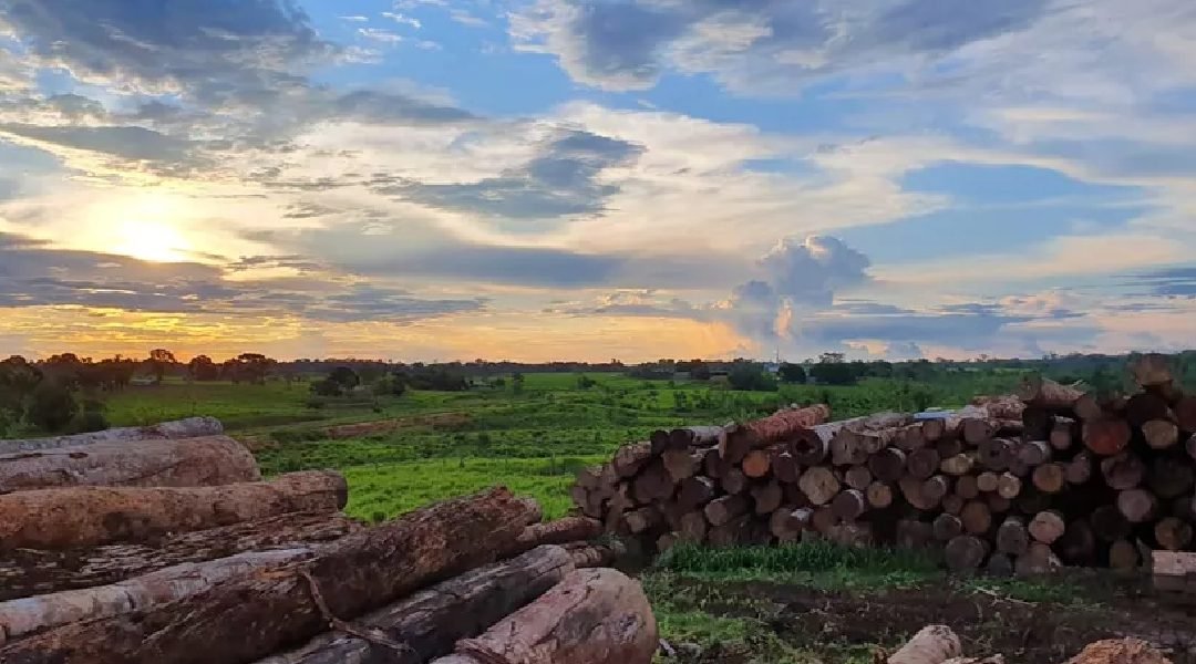 De janeiro a abril de 2023 somente 8,7% do valor das exportações e 1,7% das importações do Acre foram efetuadas pela Rodovia Interoceânica