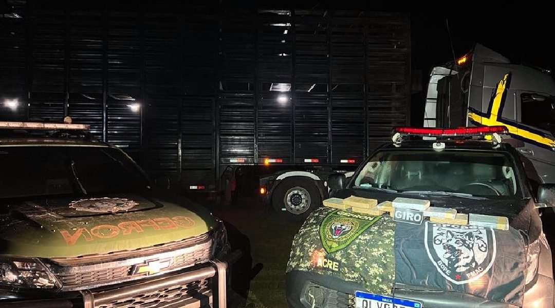 Casal é preso transportando quase 10kg de cocaína em caminhão boiadeiro no Acre
