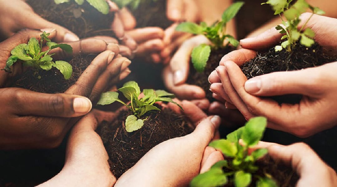Semana Nacional do Meio Ambiente; veja programação em Cruzeiro do Sul