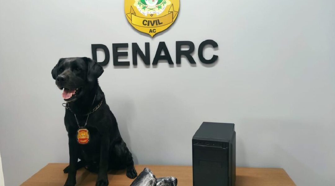 Cão policial encontra mais de 3kg de droga em computador que seria enviado para o ES