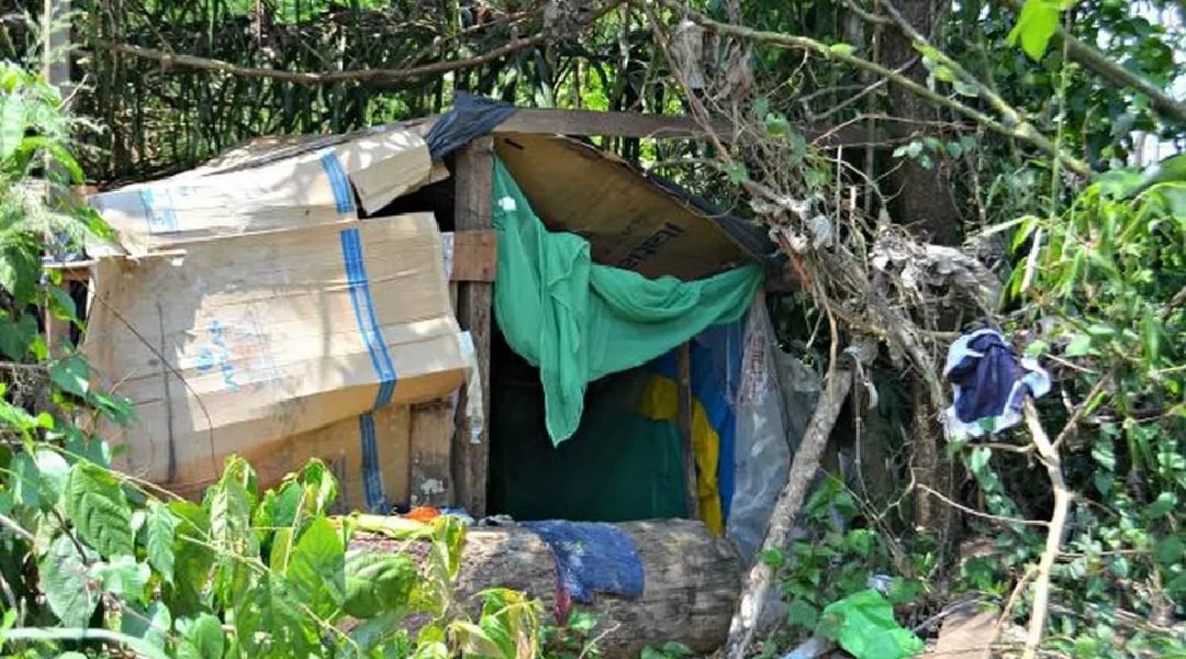 Acre tem 2ª maior taxa de extrema pobreza entre os estados brasileiros