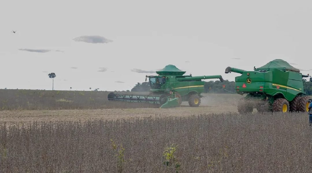 Capacidade de armazenamento de grãos cresce 30% e chega a 81 mil toneladas no Acre