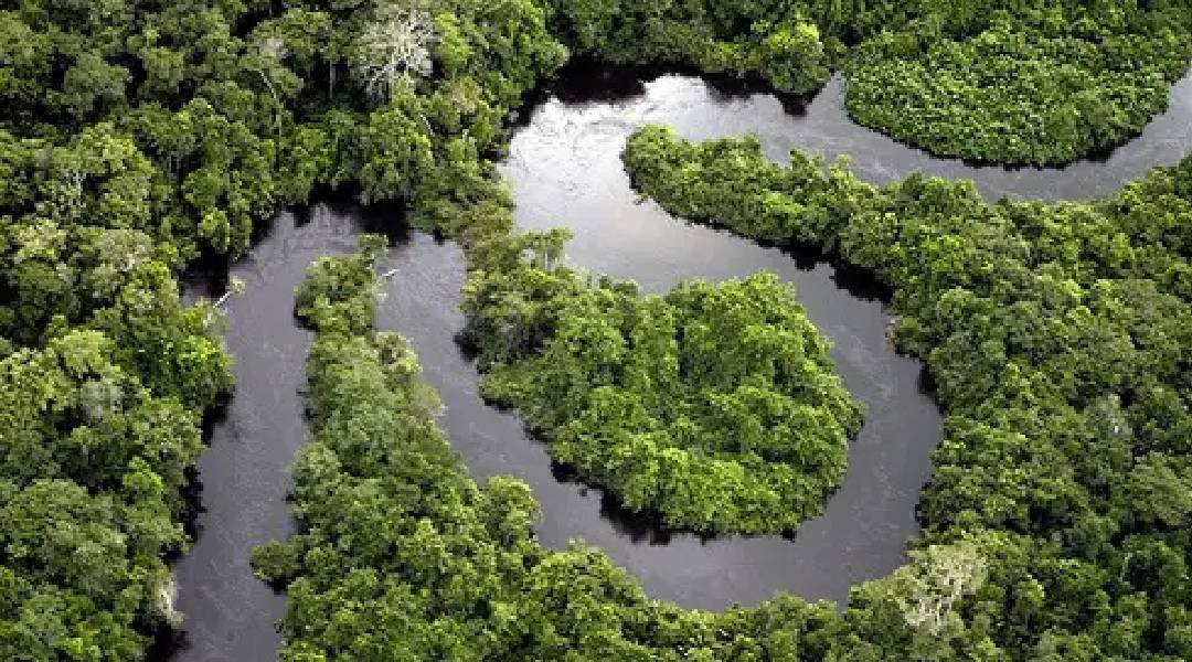 UFAC celebra a aprovação do “Fator Amazônia” para potencializar sua atuação no Acre