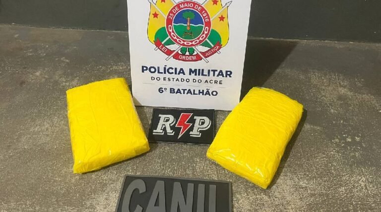 Polícia Militar apreende droga em caminhão de transporte na BR -364