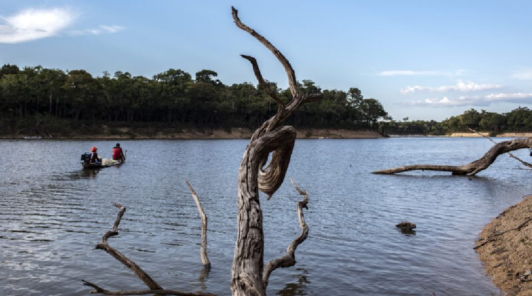 Novo Projeto - 2023-07-04T211655.069