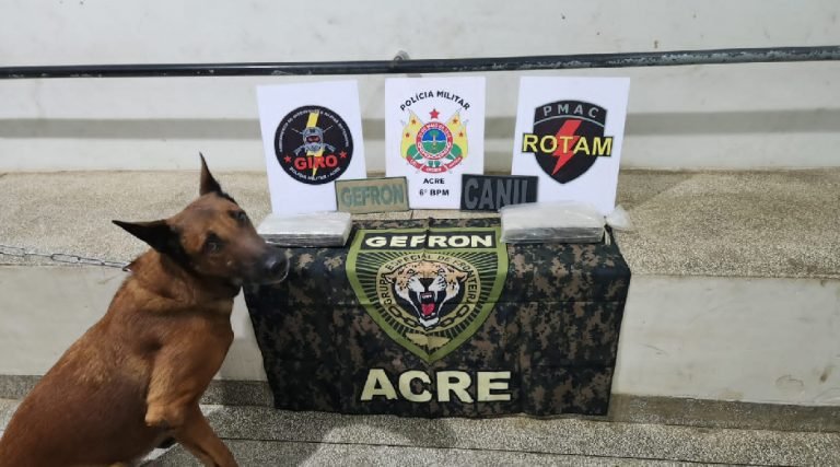 Forças de segurança apreendem dois quilos de SKUNK na BR-364 em ônibus com destino a Tarauacá