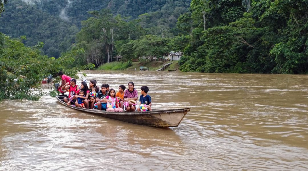 Novo Projeto - 2023-07-11T112436.938