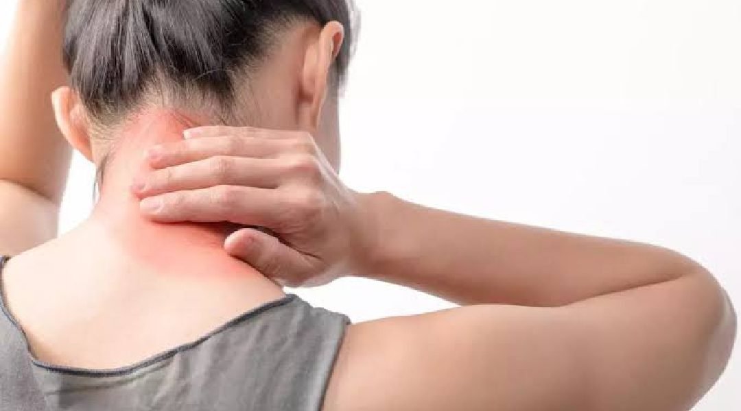 Novo Projeto - 2023-07-13T111218.656